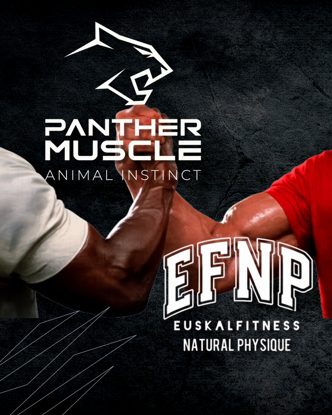 Camiseta Oficial EFNP 2026